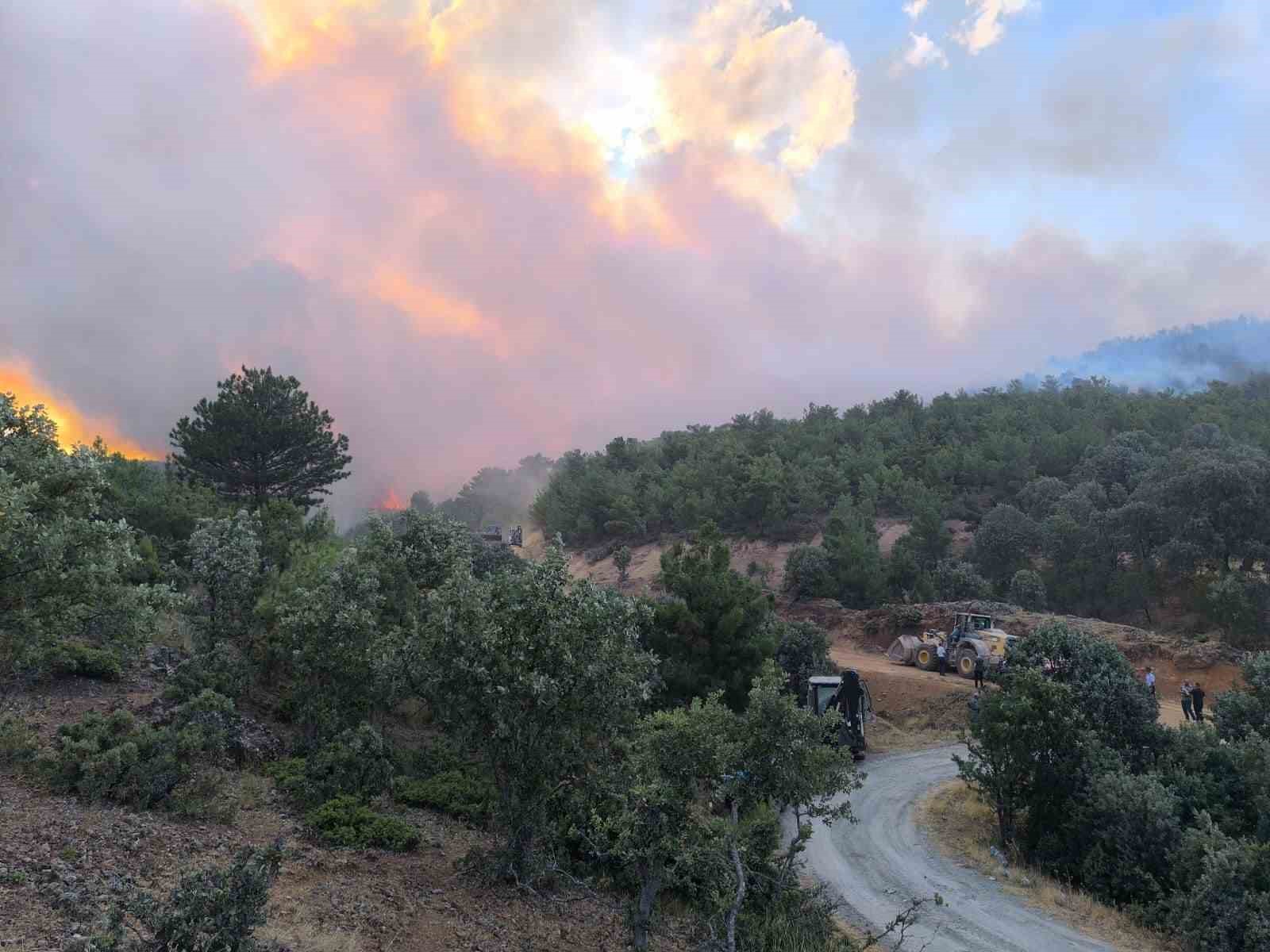 Uşak’ta ormanlık alandaki çıkan yangına müdahale devam ediyor
