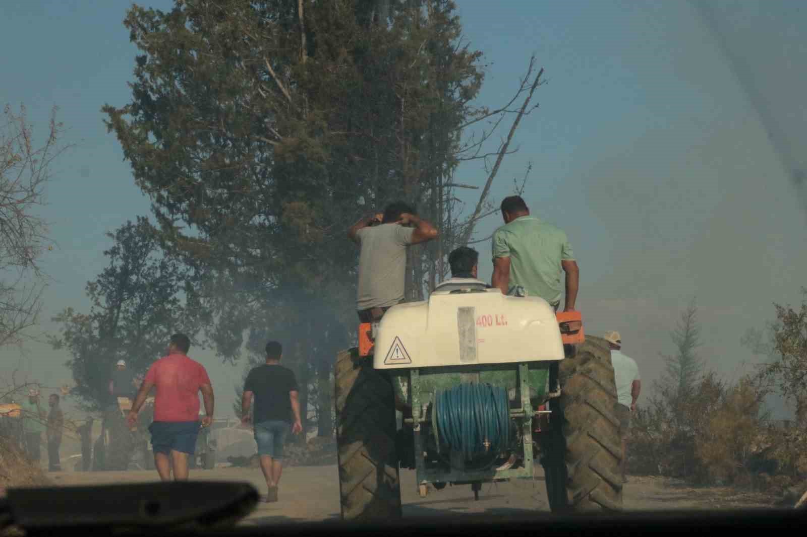 Antalya’da çıkan yangın seraları ve ormanlık alanı etkiledi
