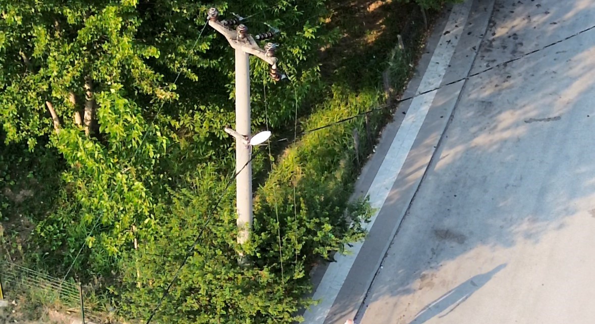 Kuşun çarptığı teller 10 bin nüfuslu mahallenin elektriğini kesti
