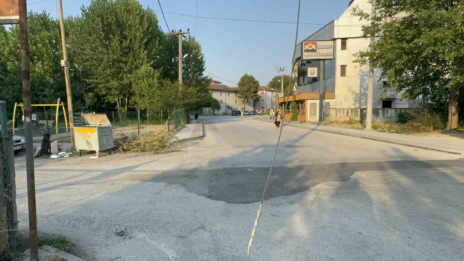 Kuşun çarptığı teller 10 bin nüfuslu mahallenin elektriğini kesti
