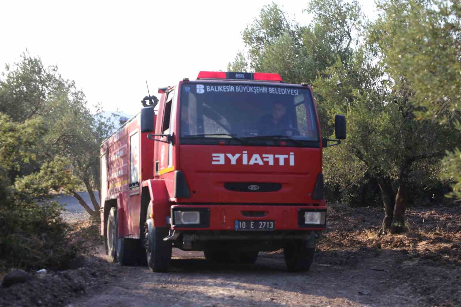 Ayvalık’ta makilik alanda çıkıp zeytinliklere sıçrayan yangın kontrol altına alındı
