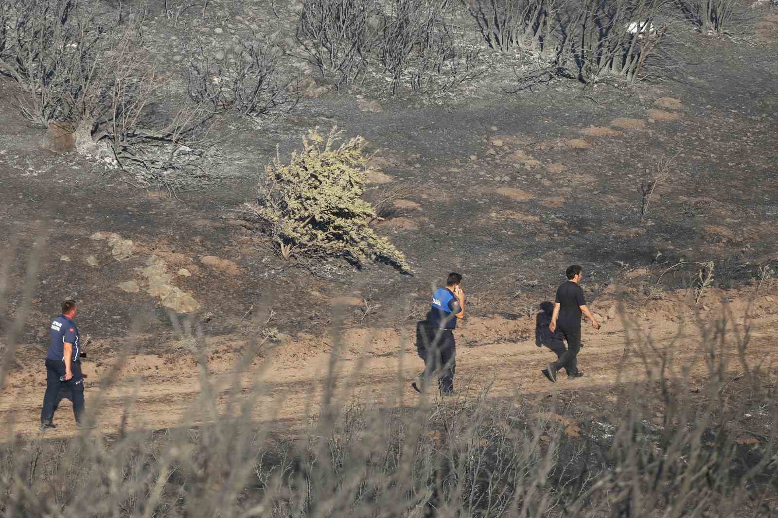 Ayvalık’ta makilik alanda çıkıp zeytinliklere sıçrayan yangın kontrol altına alındı
