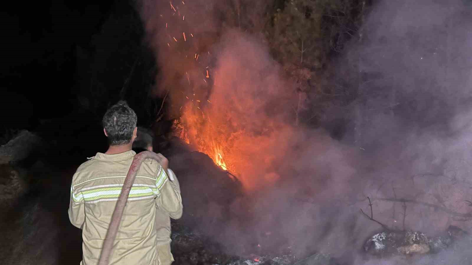 Vali Ergün yangın bölgesinde incelemelerde bulundu
