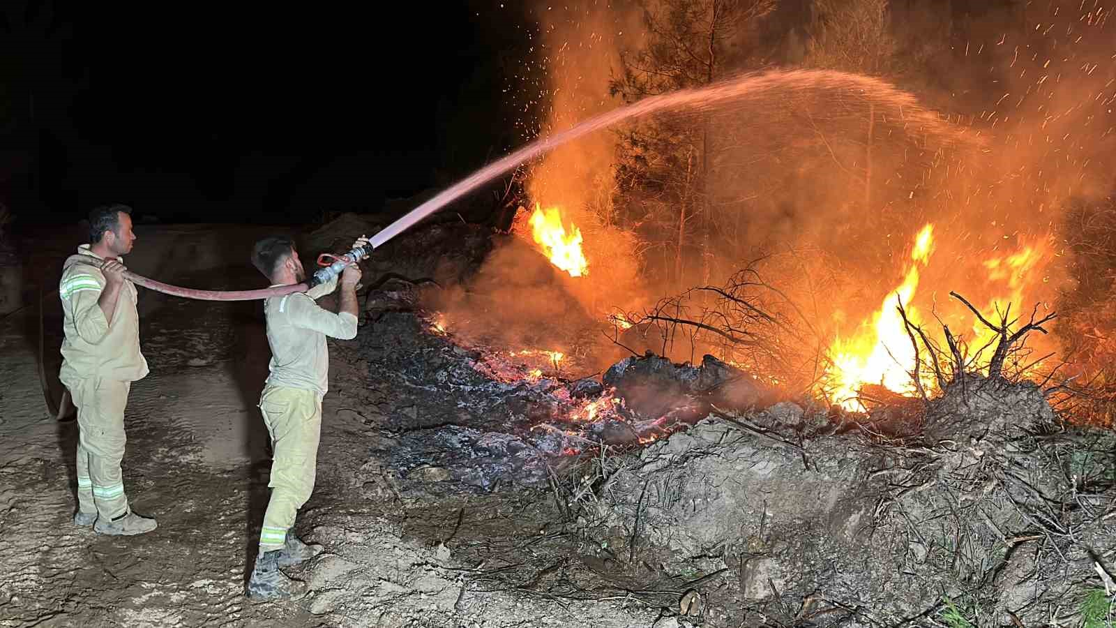 Vali Ergün yangın bölgesinde incelemelerde bulundu
