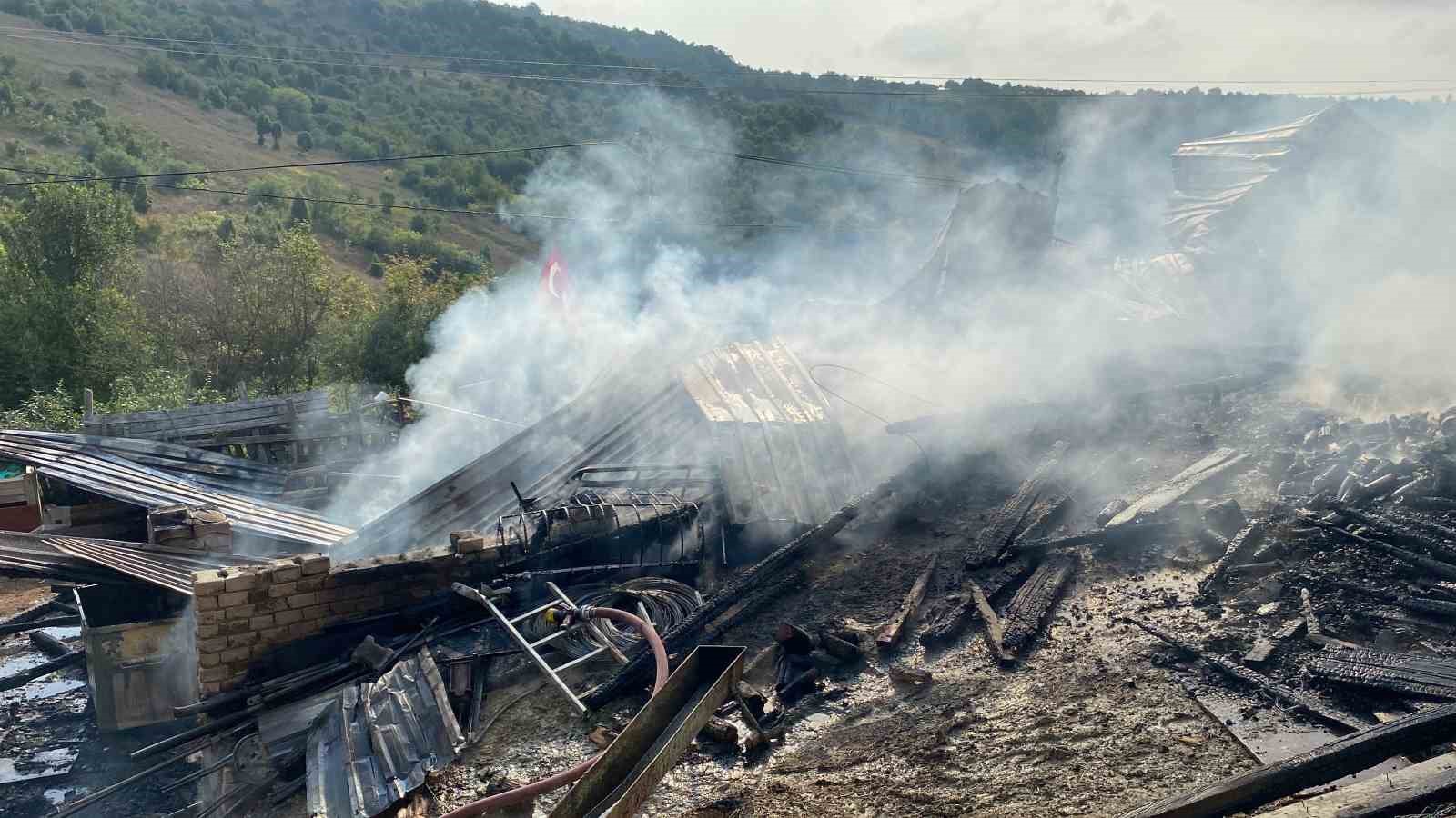 Ahır yangınında 14 hayvan telef oldu, 1 kişi yaralandı
