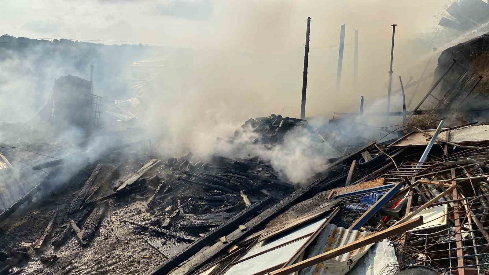 Ahır yangınında 14 hayvan telef oldu, 1 kişi yaralandı
