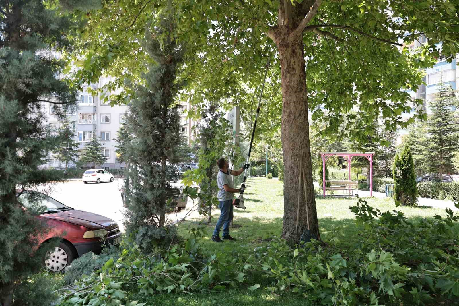 Talas’ta park ve bahçelere yaz bakımı
