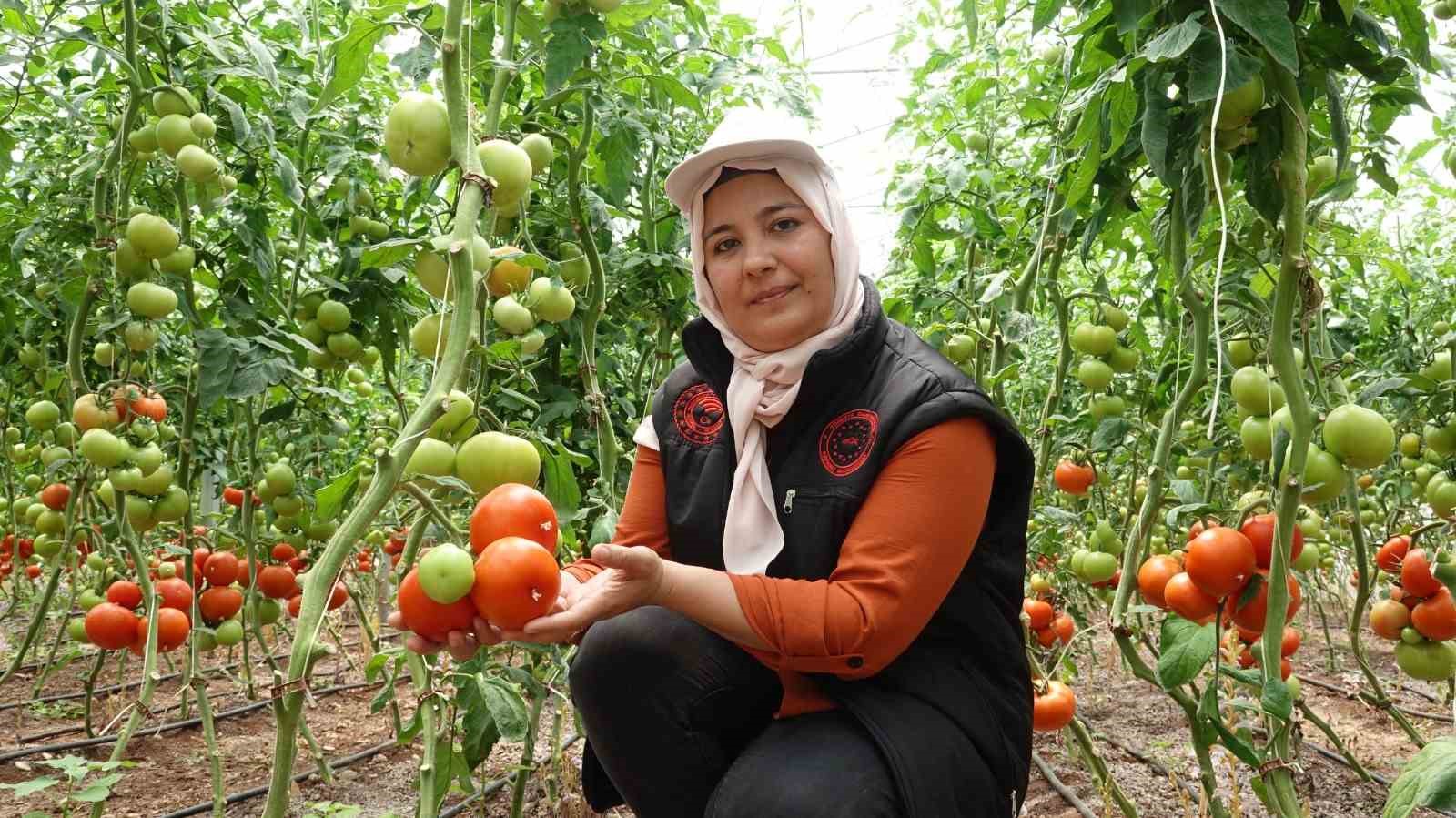 Gaziantep’te seralara kadın eli değdi
