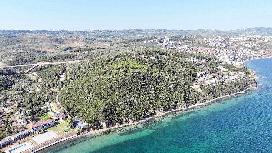 116 dönüm deniz manzaralı ormana Mudanya Belediyesi talip oldu
