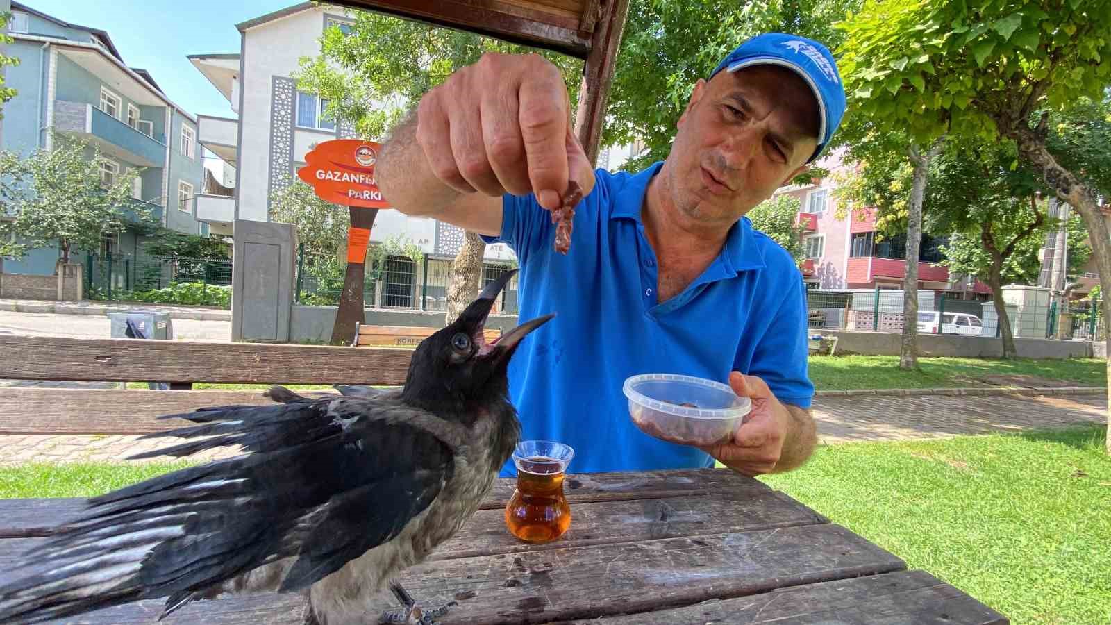 Karga, Rize çayı dışında bir şey içmiyor
