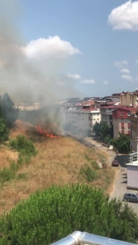 Sancaktepe’de ormanlık alanda yangın
