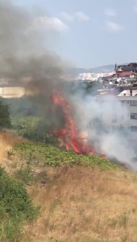 Sancaktepe’de ormanlık alanda yangın
