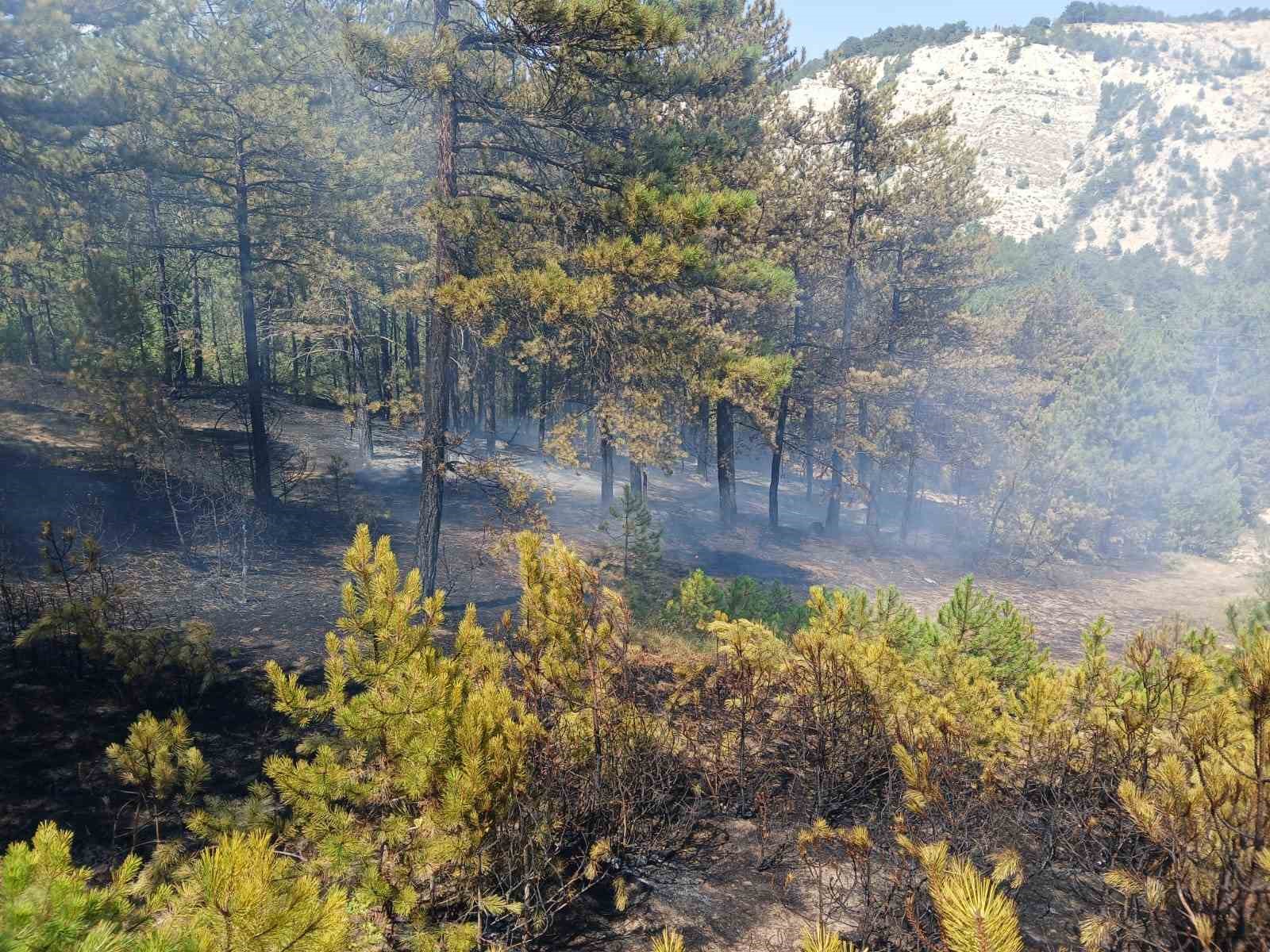 Bilecik’te son 2 günde 3’üncü orman yangını
