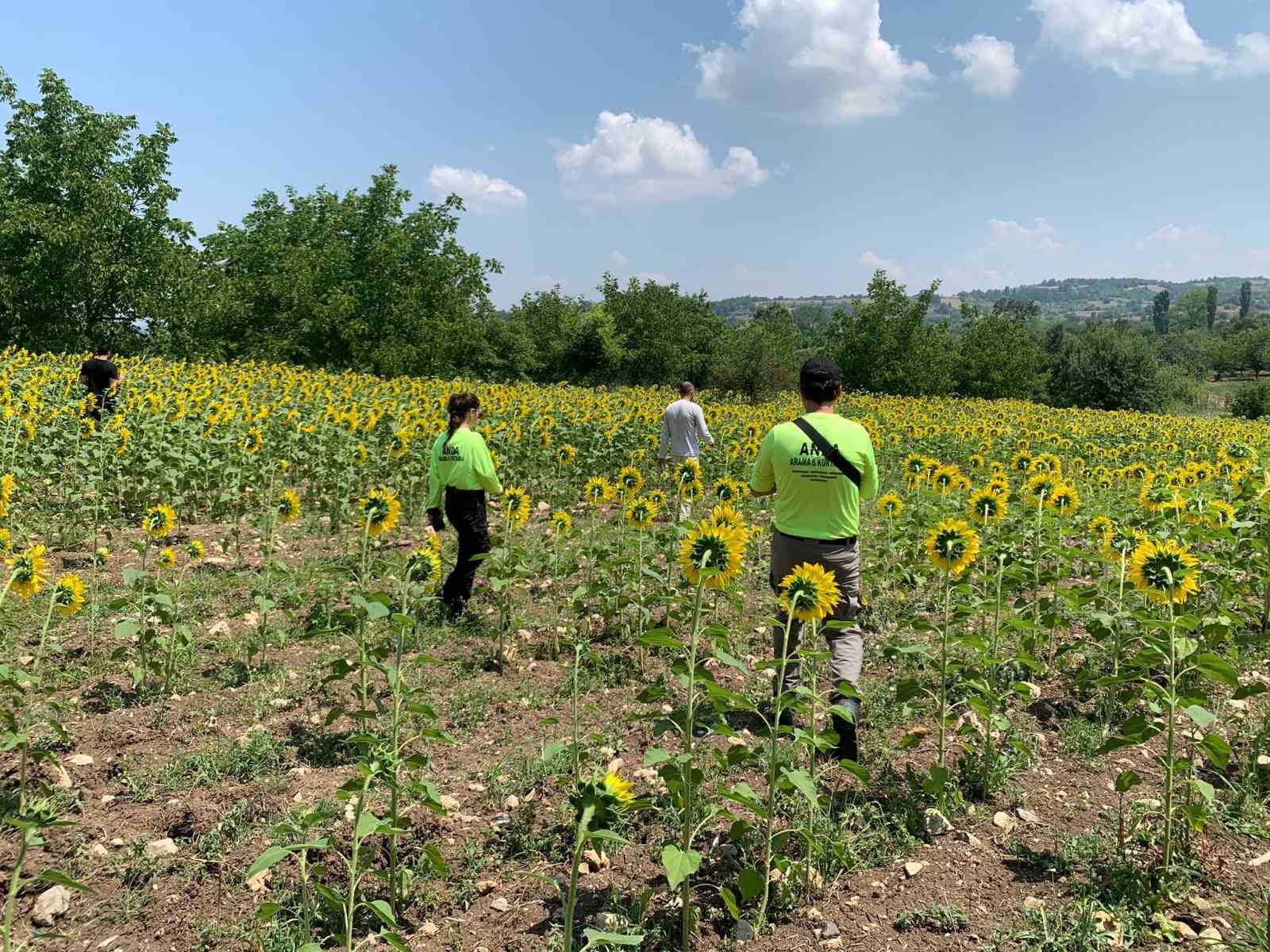 Kayıp çoban dün akşamdan beri aranıyor
