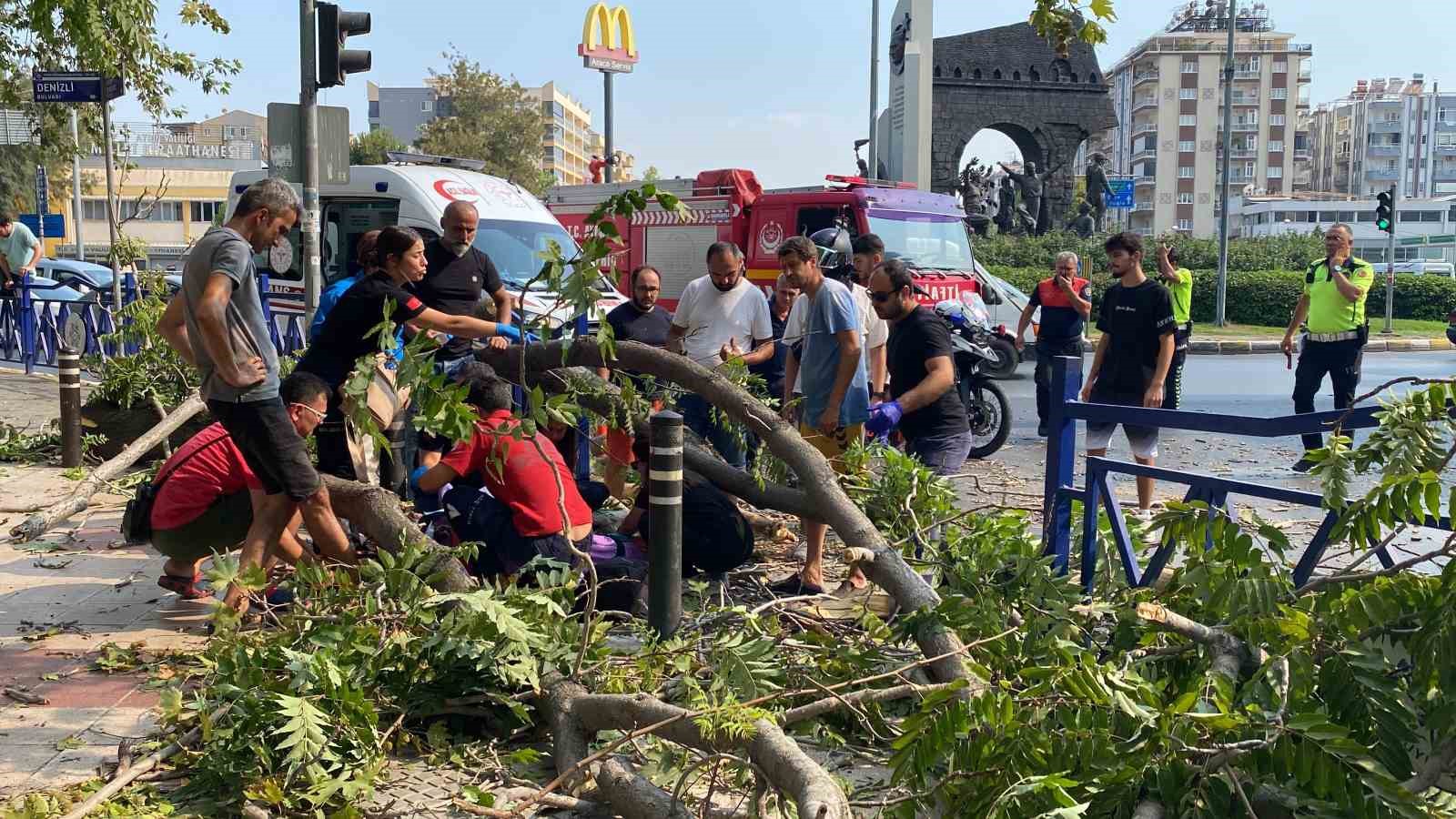 Devrilen ağacın altında kalarak yaralandı
