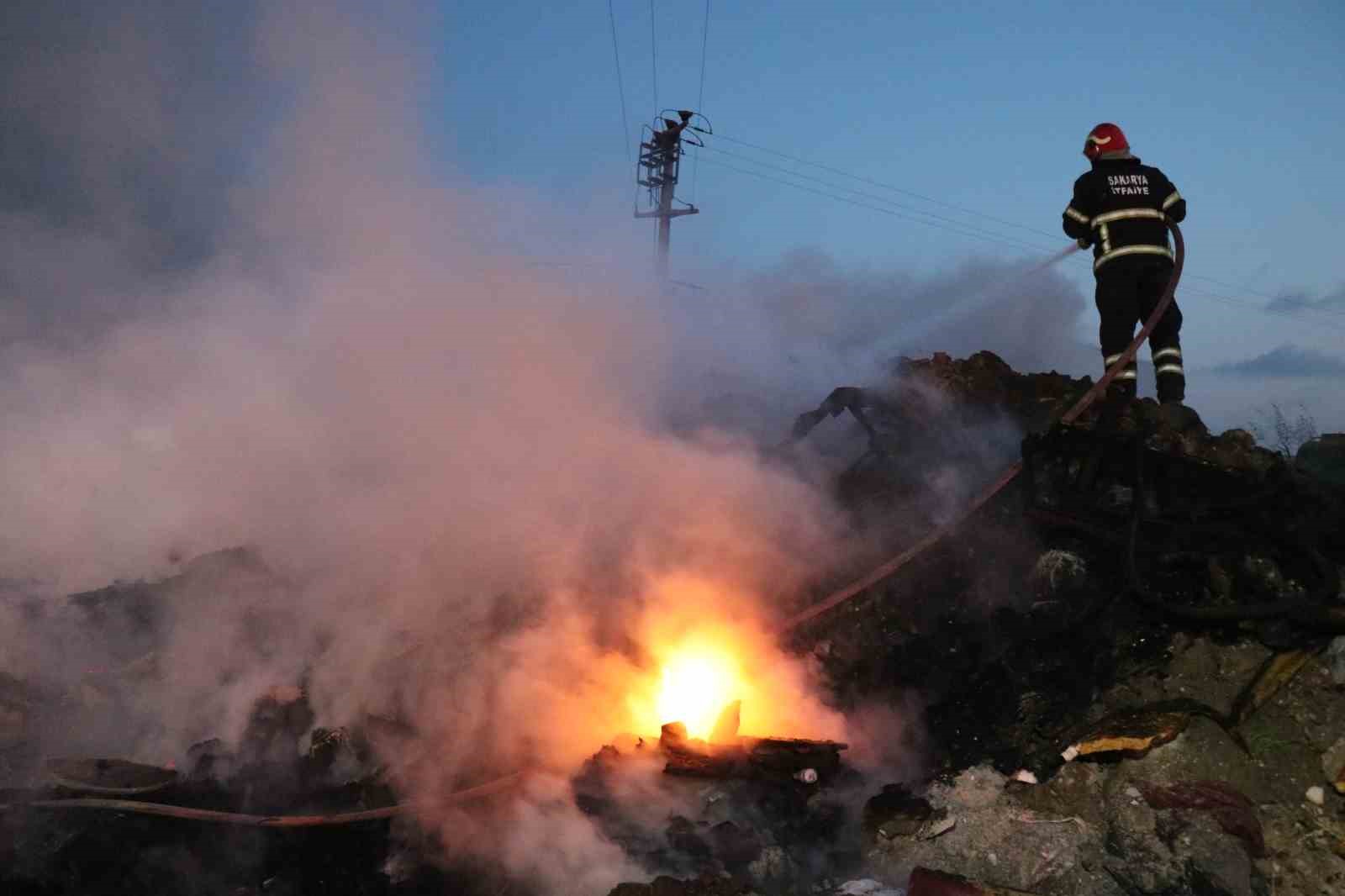 Sakarya’da korkutan yangın: Dumanlar mahalleyi kapladı
