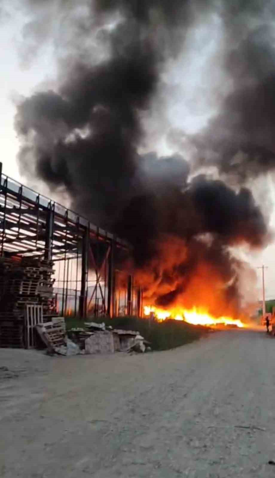 Sakarya’da korkutan yangın: Dumanlar mahalleyi kapladı
