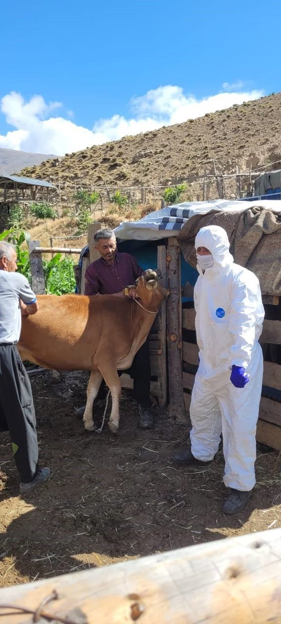 Adana’da şarbon hastalığı tespit edildi
