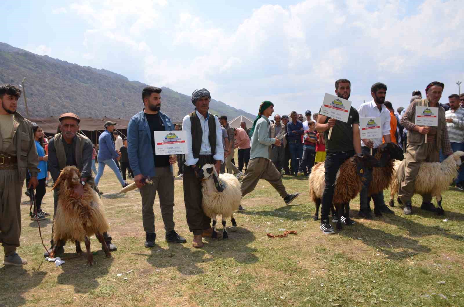 Beytüşşebap’ta besiciler Kuzu Kırkma Festivali’nde birincilik için mücadele etti
