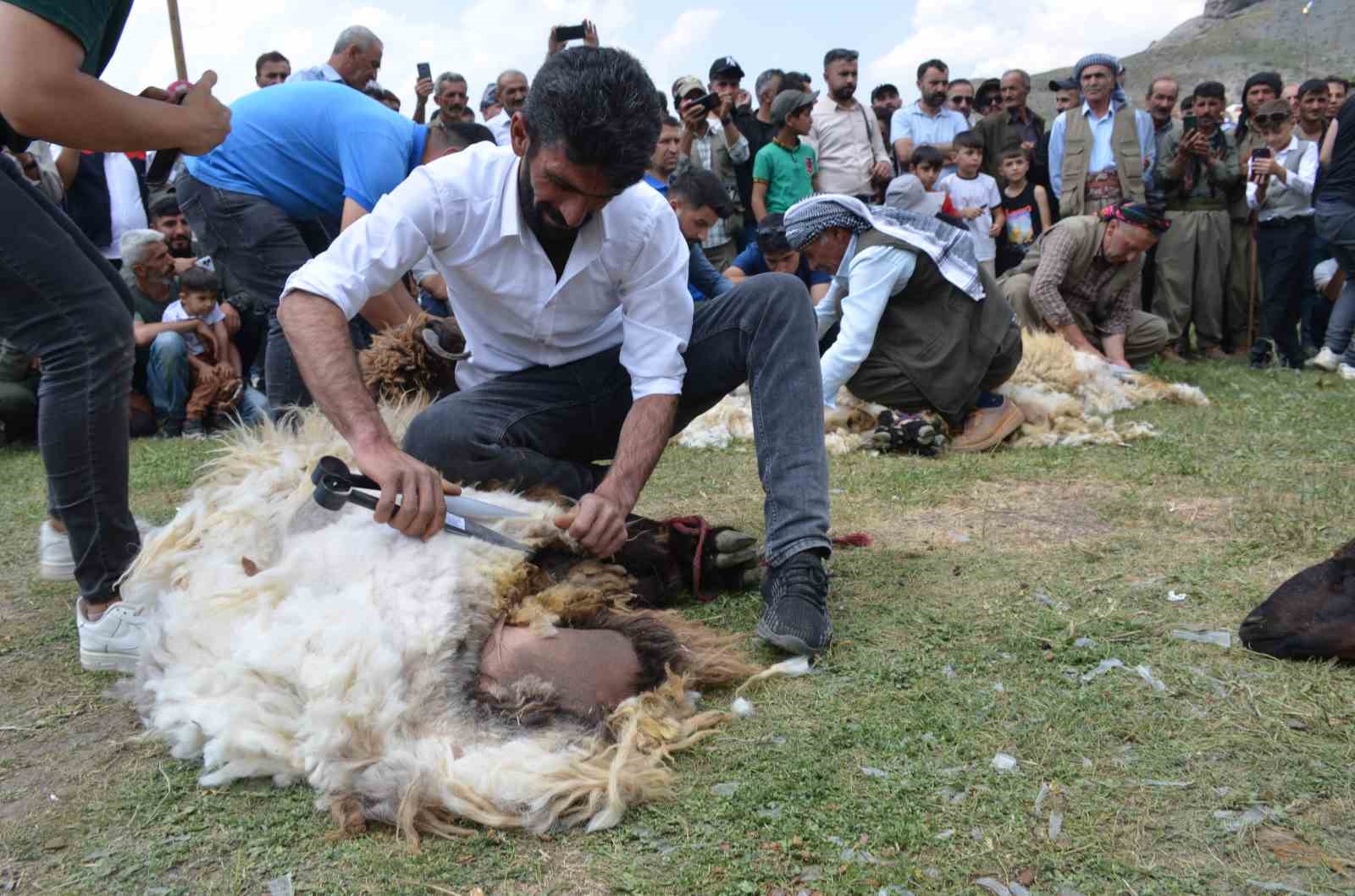 Beytüşşebap’ta besiciler Kuzu Kırkma Festivali’nde birincilik için mücadele etti
