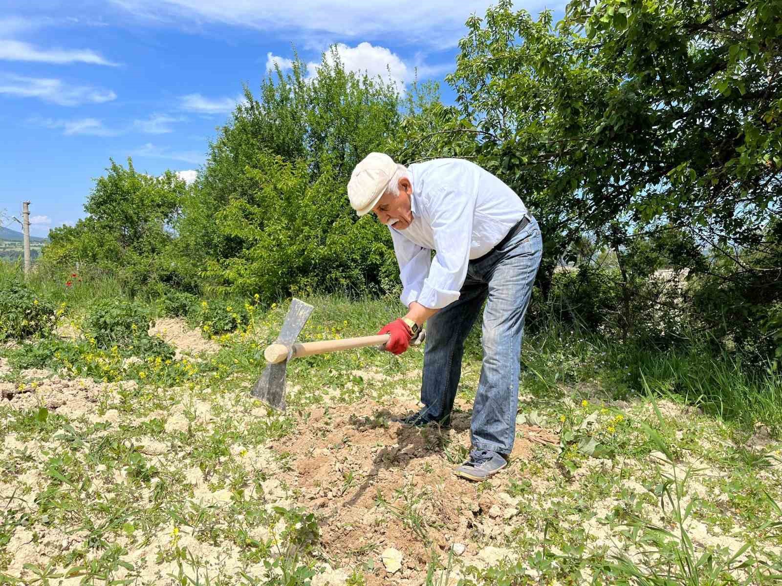 80 yaşında tarlada gençlere taş çıkartıyor: 