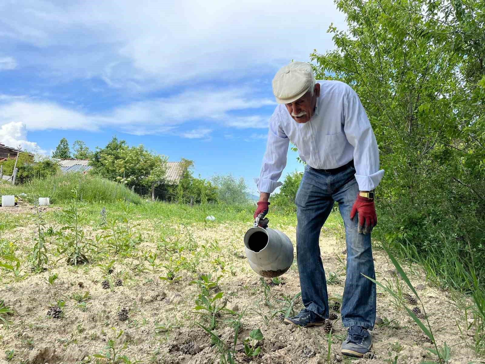 80 yaşında tarlada gençlere taş çıkartıyor: 