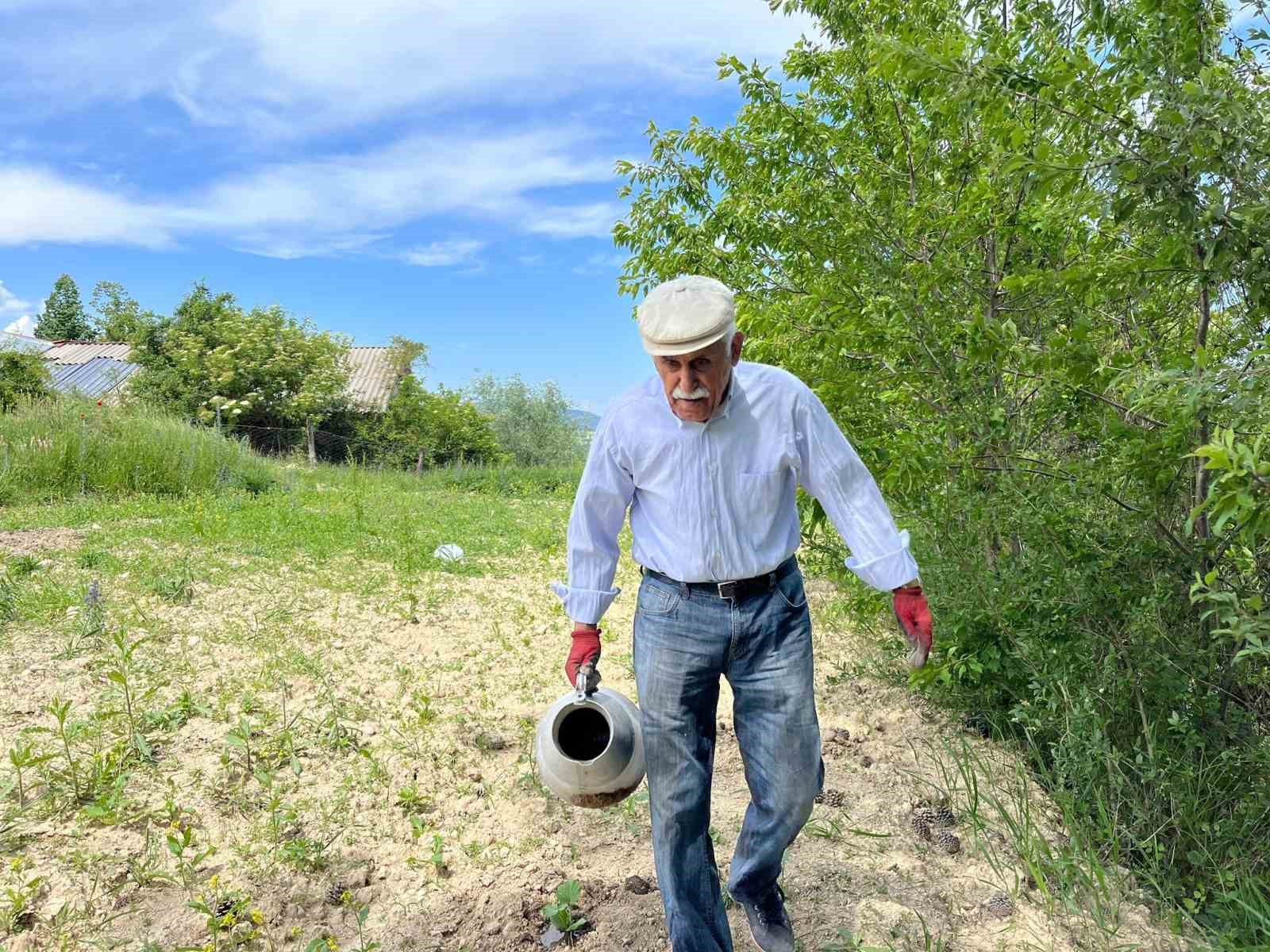 80 yaşında tarlada gençlere taş çıkartıyor: 