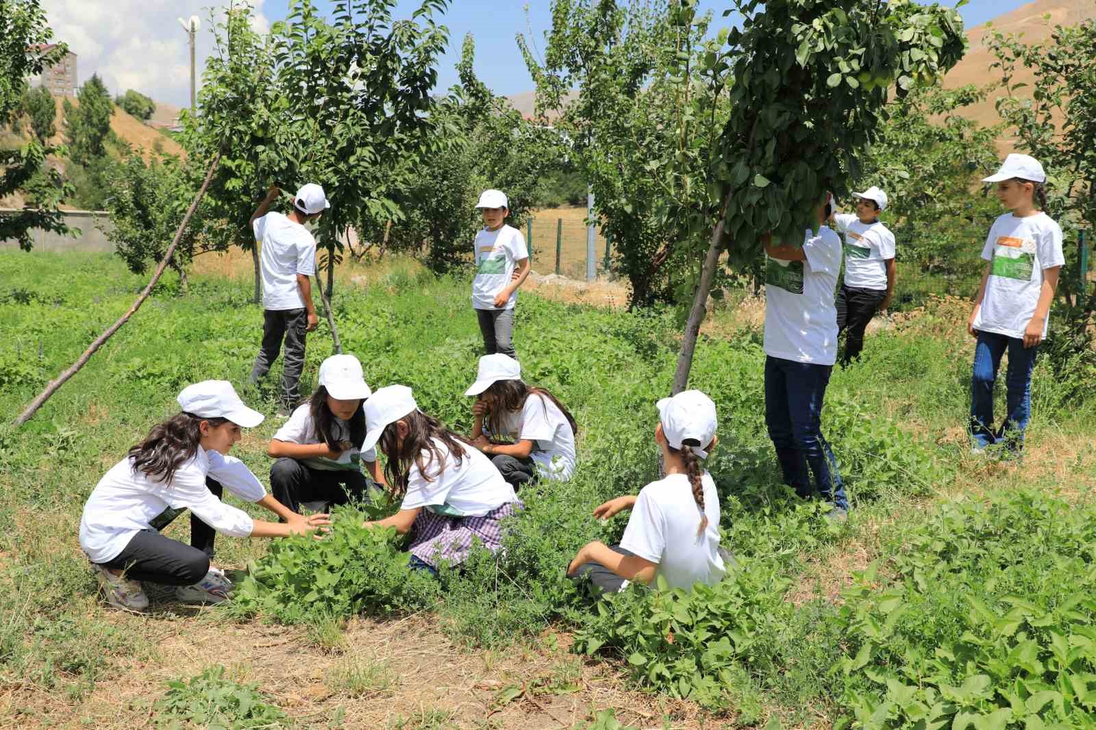 Bitlis’te ‘Okuldaki çiftlik’ projesi
