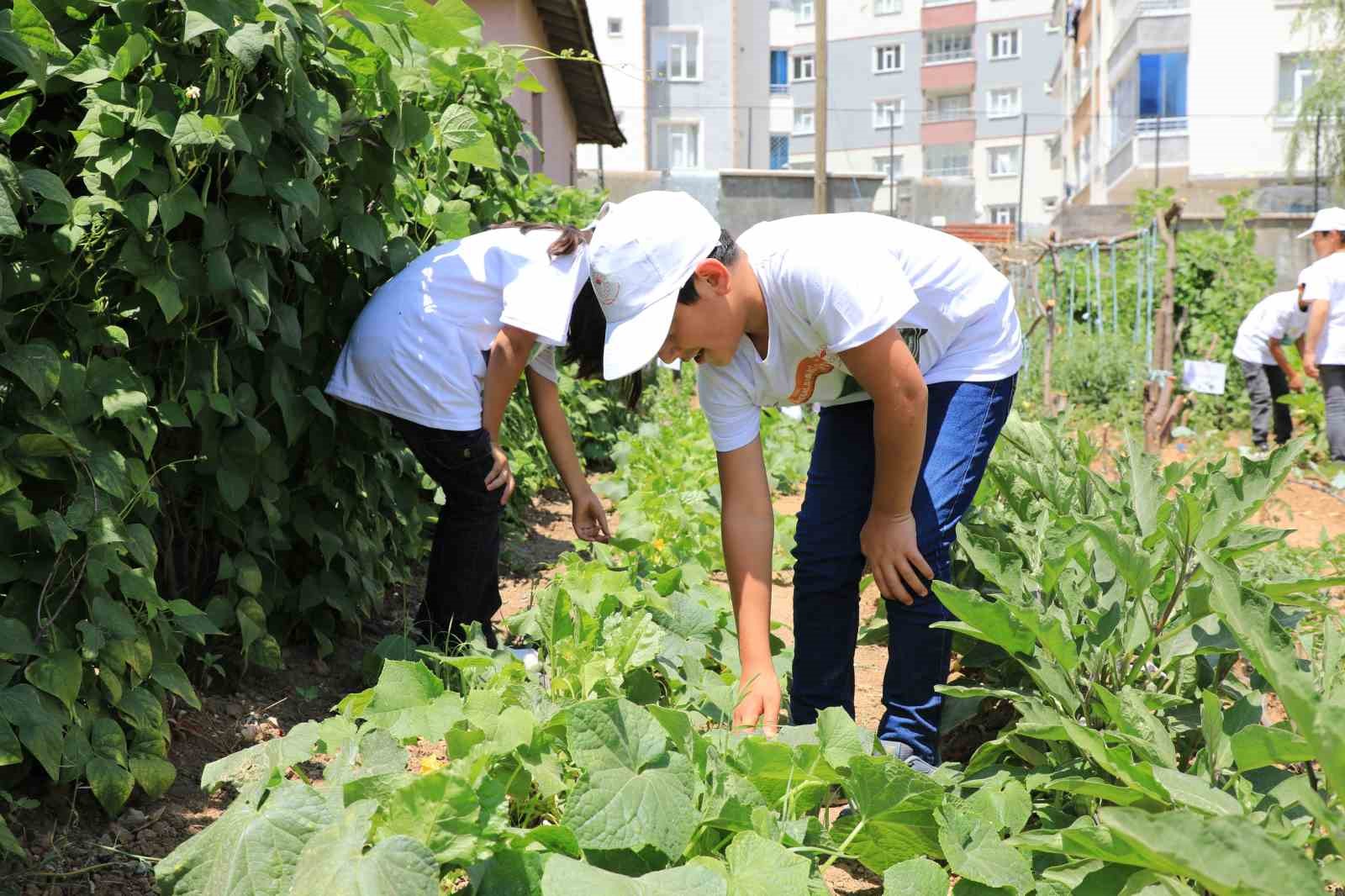 Bitlis’te ‘Okuldaki çiftlik’ projesi
