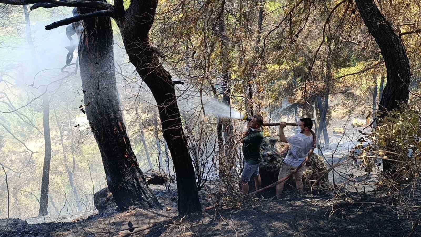 Antalya’da mezarlık yangını ormana sıçradı, mahalleliyi alarma geçirdi
