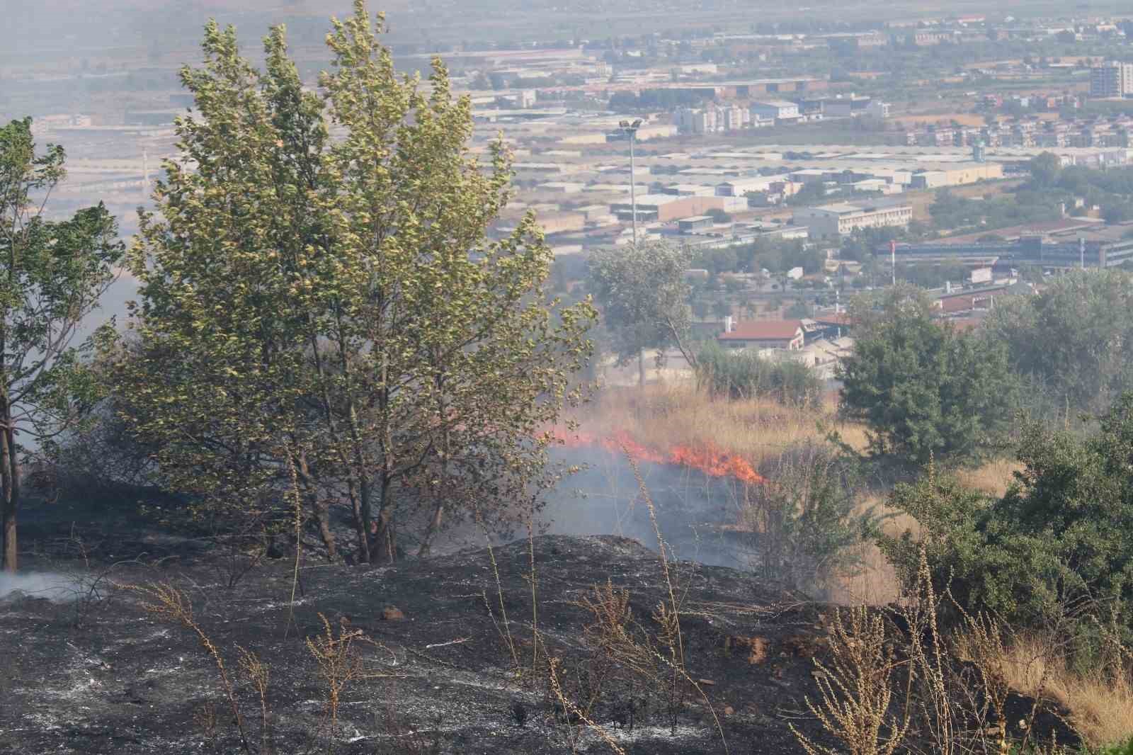 Aydın’da çıkan yangın üniversite kampüs alanına doğru ilerliyor
