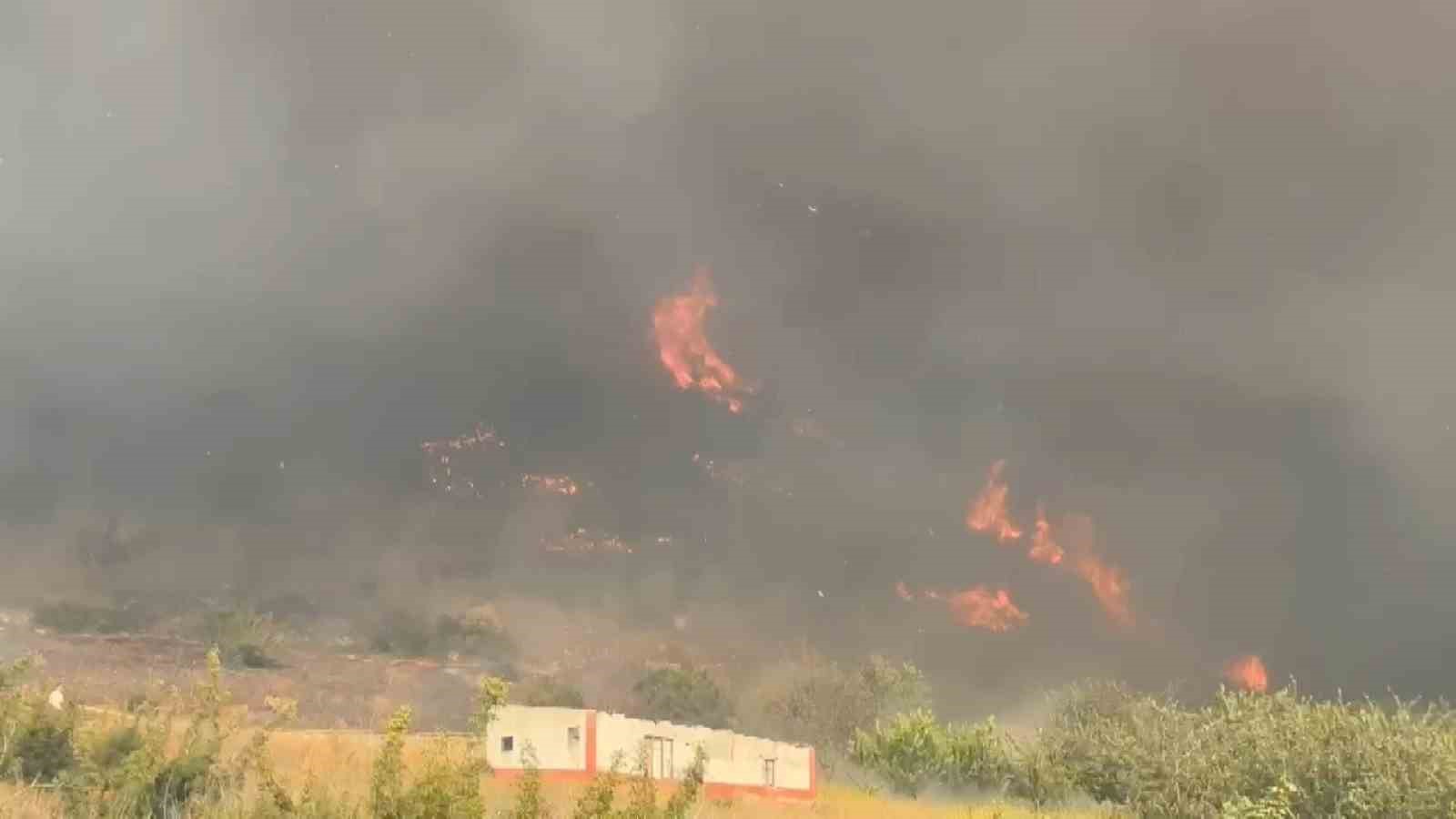 Bursa’da orman yangını
