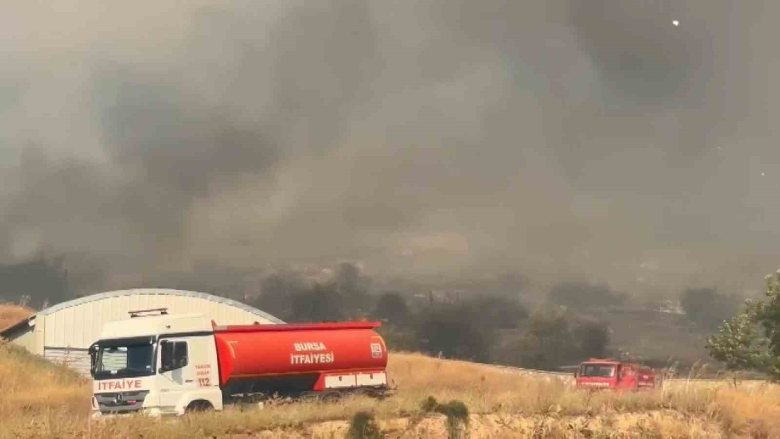 Bursa’da orman yangını
