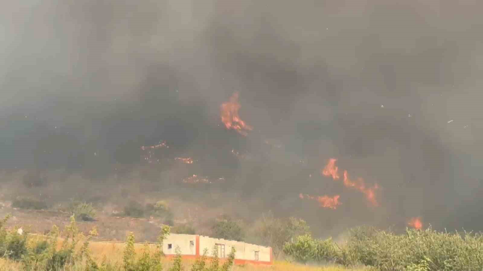 Bursa’da orman yangını
