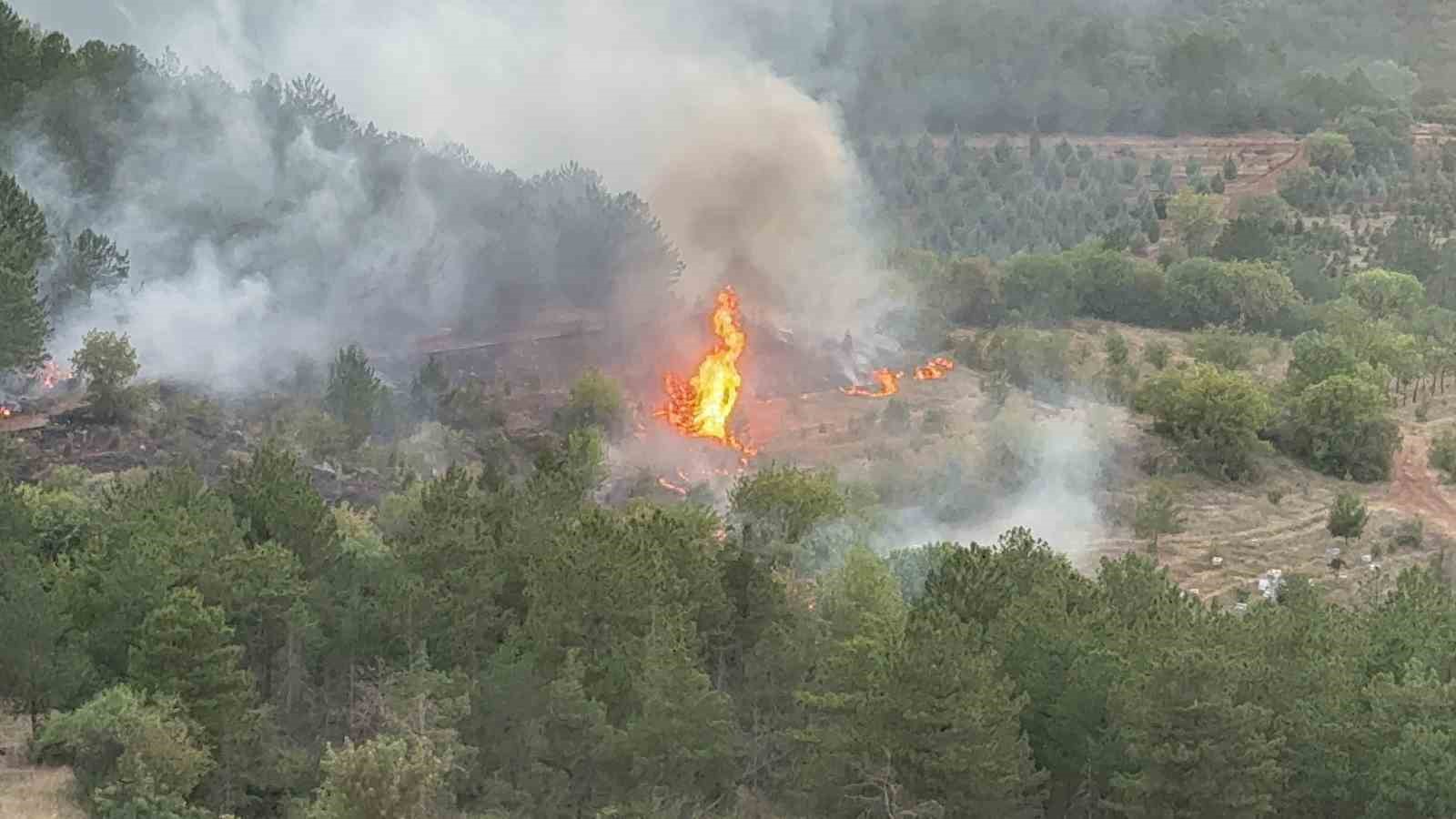 Tokat’ta korkutan orman yangını
