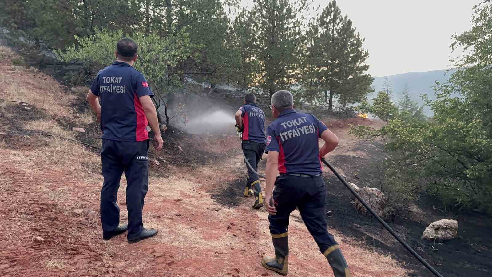 Tokat’ta korkutan orman yangını
