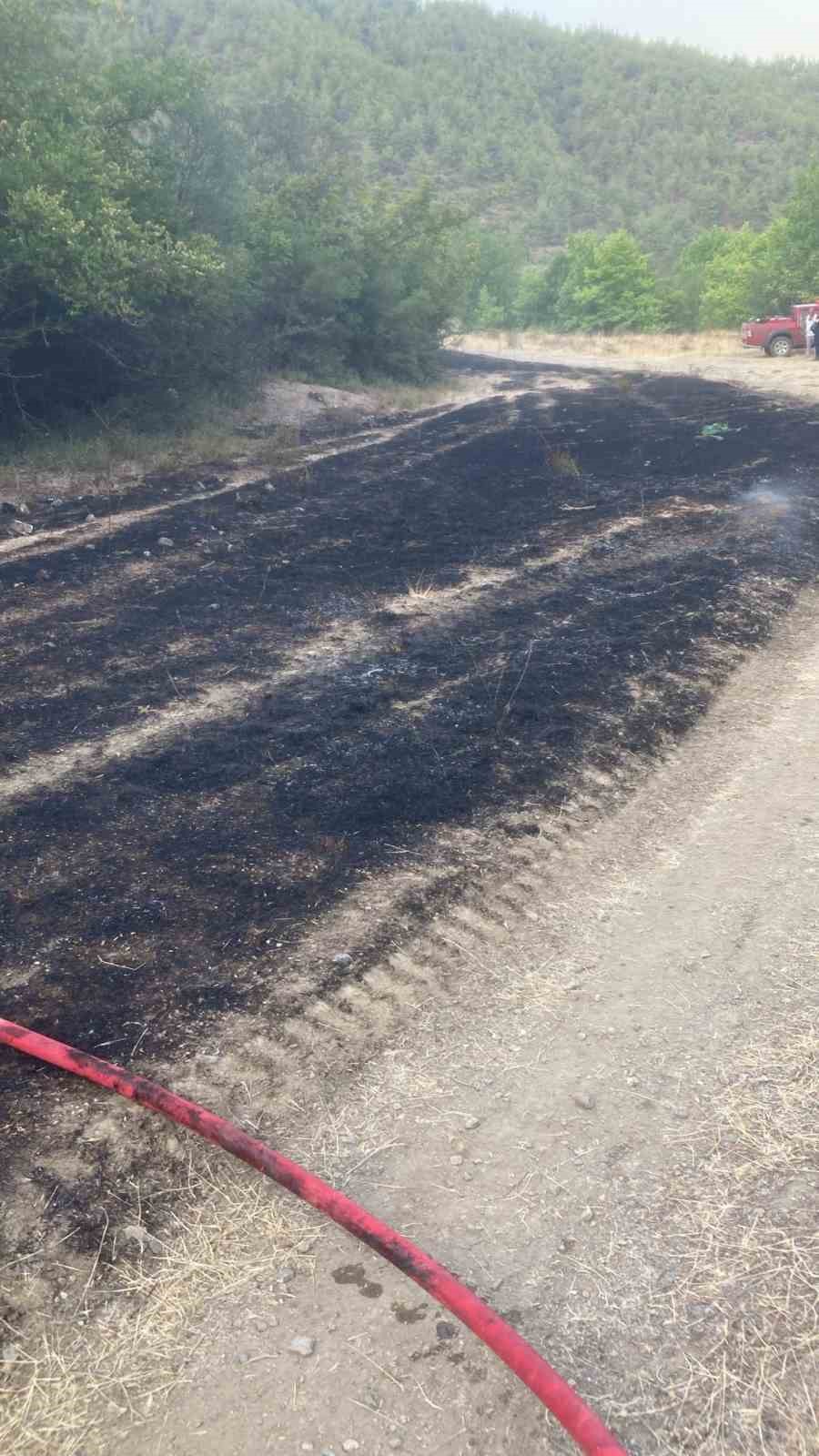 Osmaneli’de çıkan orman yangını büyümeden söndürüldü
