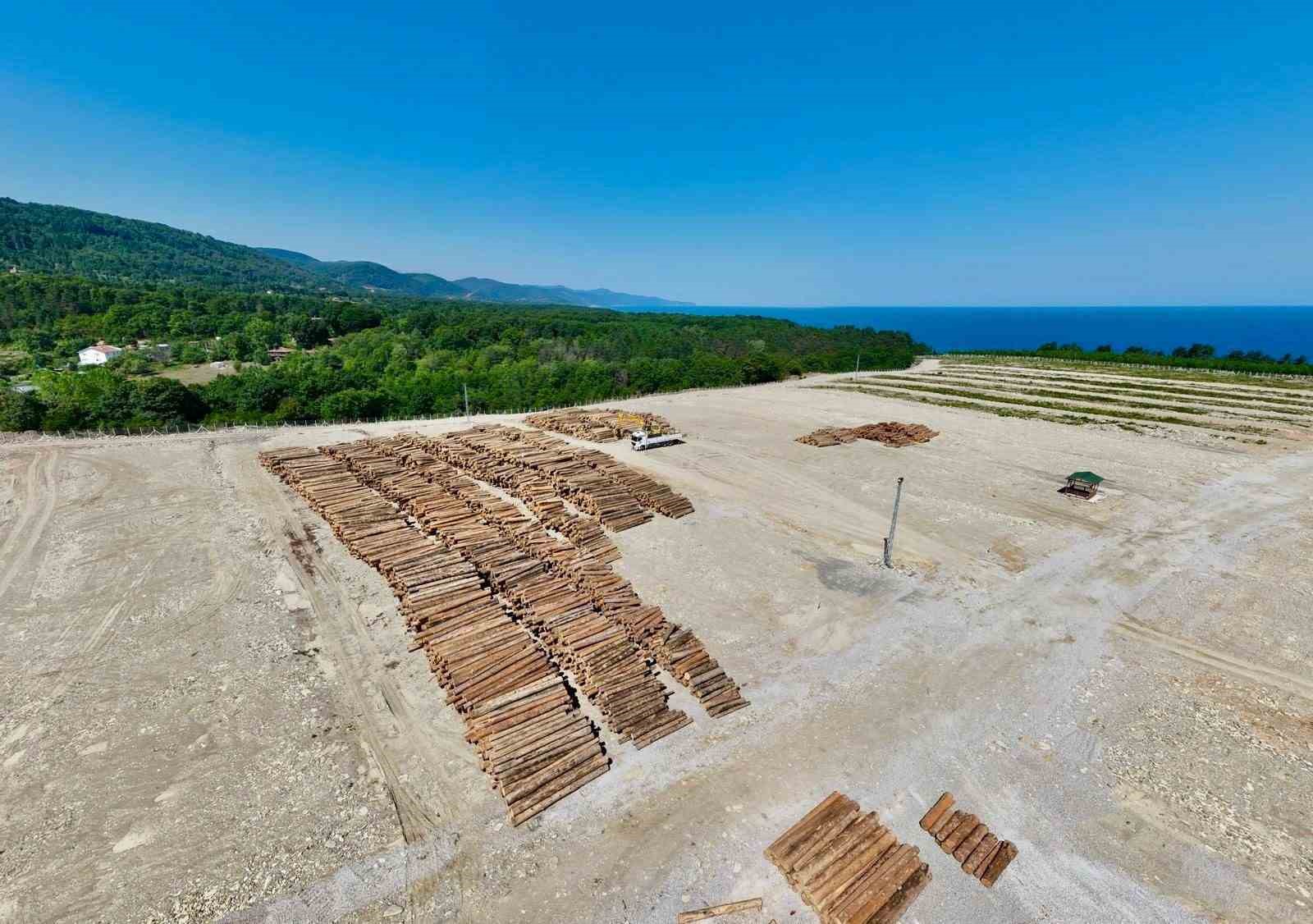 Karadeniz Bölgesi’nin en büyük orman deposu Ayancık’ta inşa edildi
