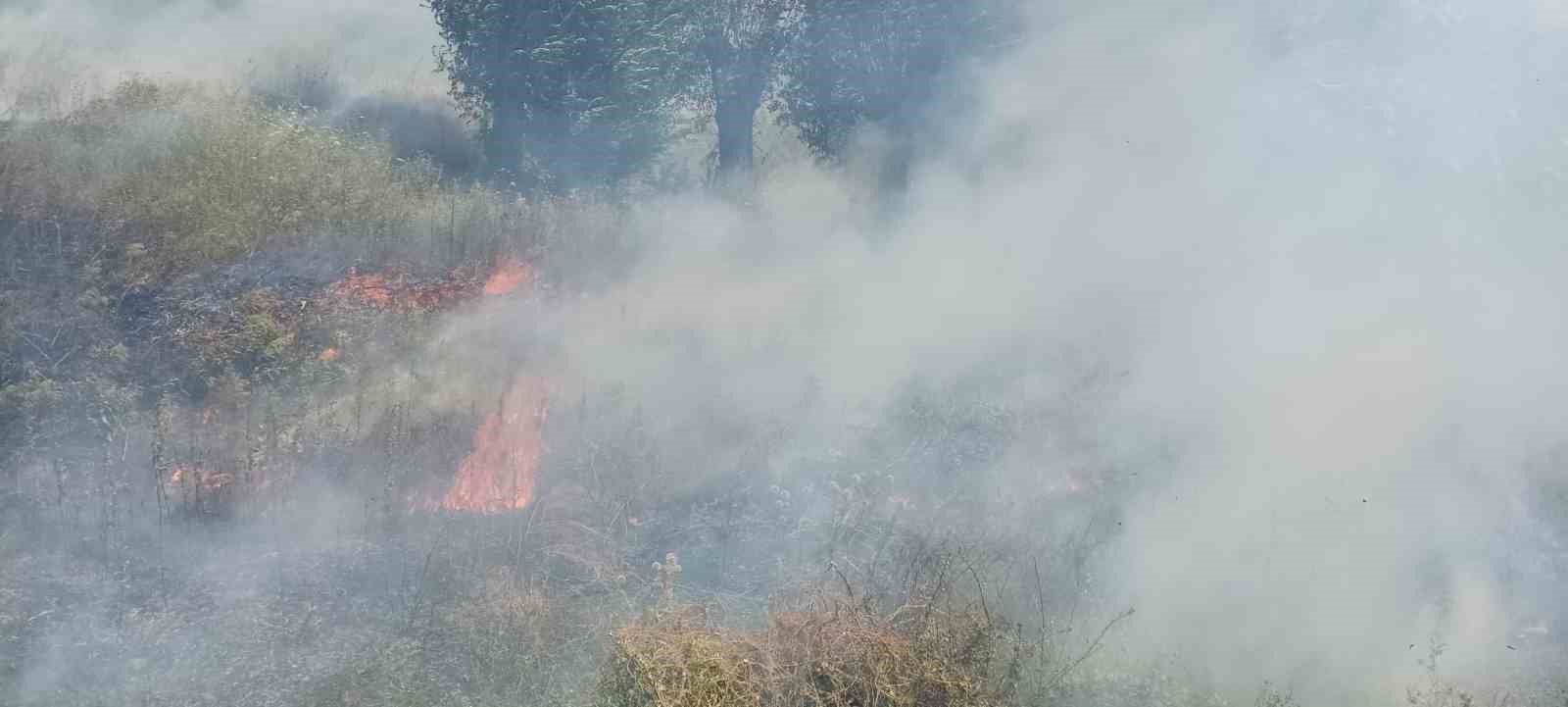 Örtü yangını büyümeden söndürüldü
