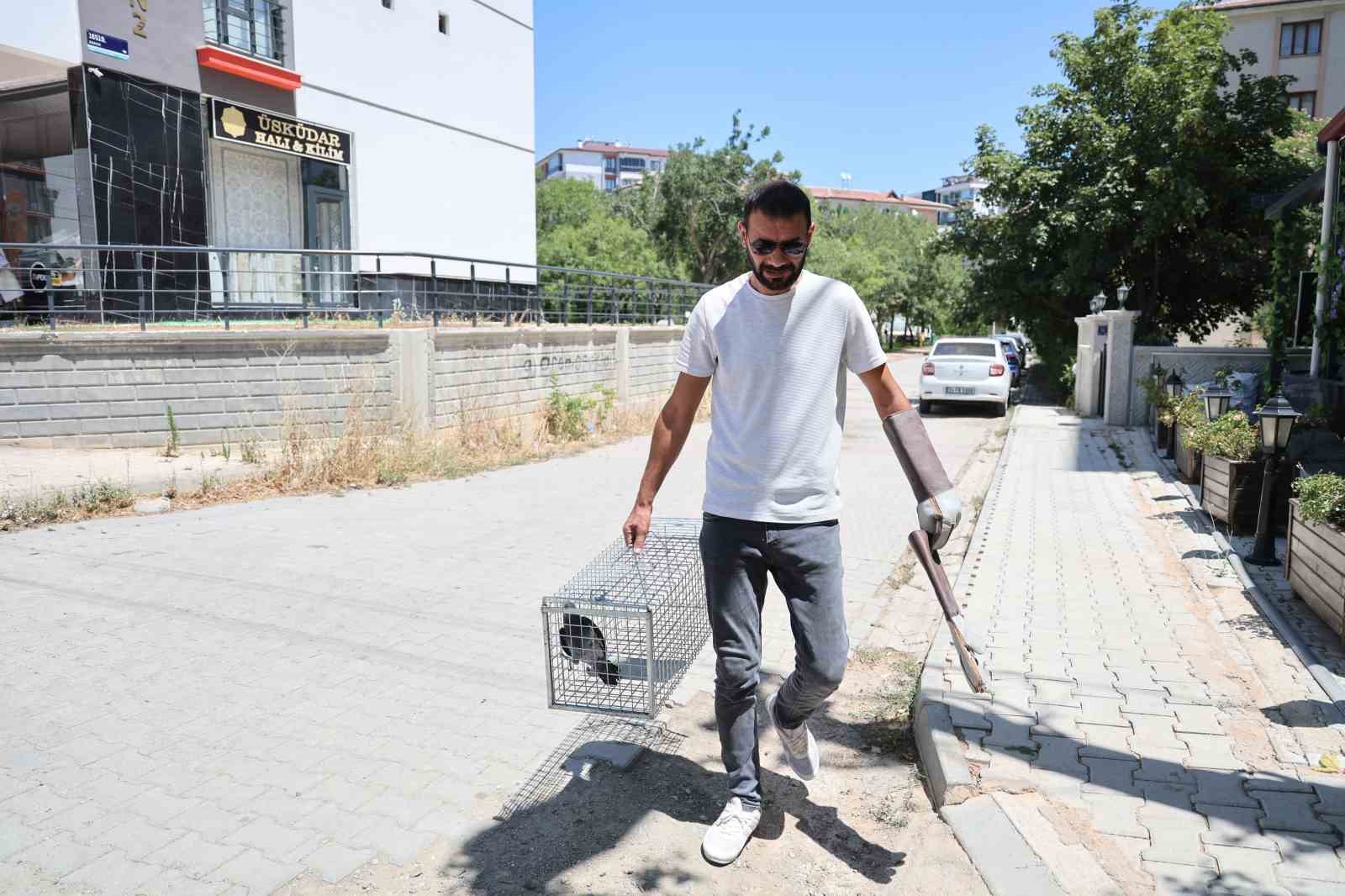 Elazığ’da ’Kübra’ diye seslenen papağan bulundu, sahibine ulaşılmaya çalışılıyor
