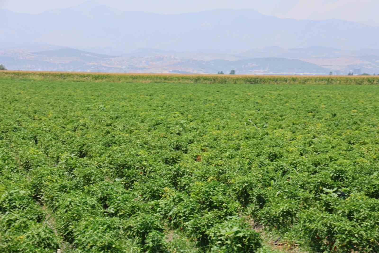 Çeyrek asırdır tarla suluyor
