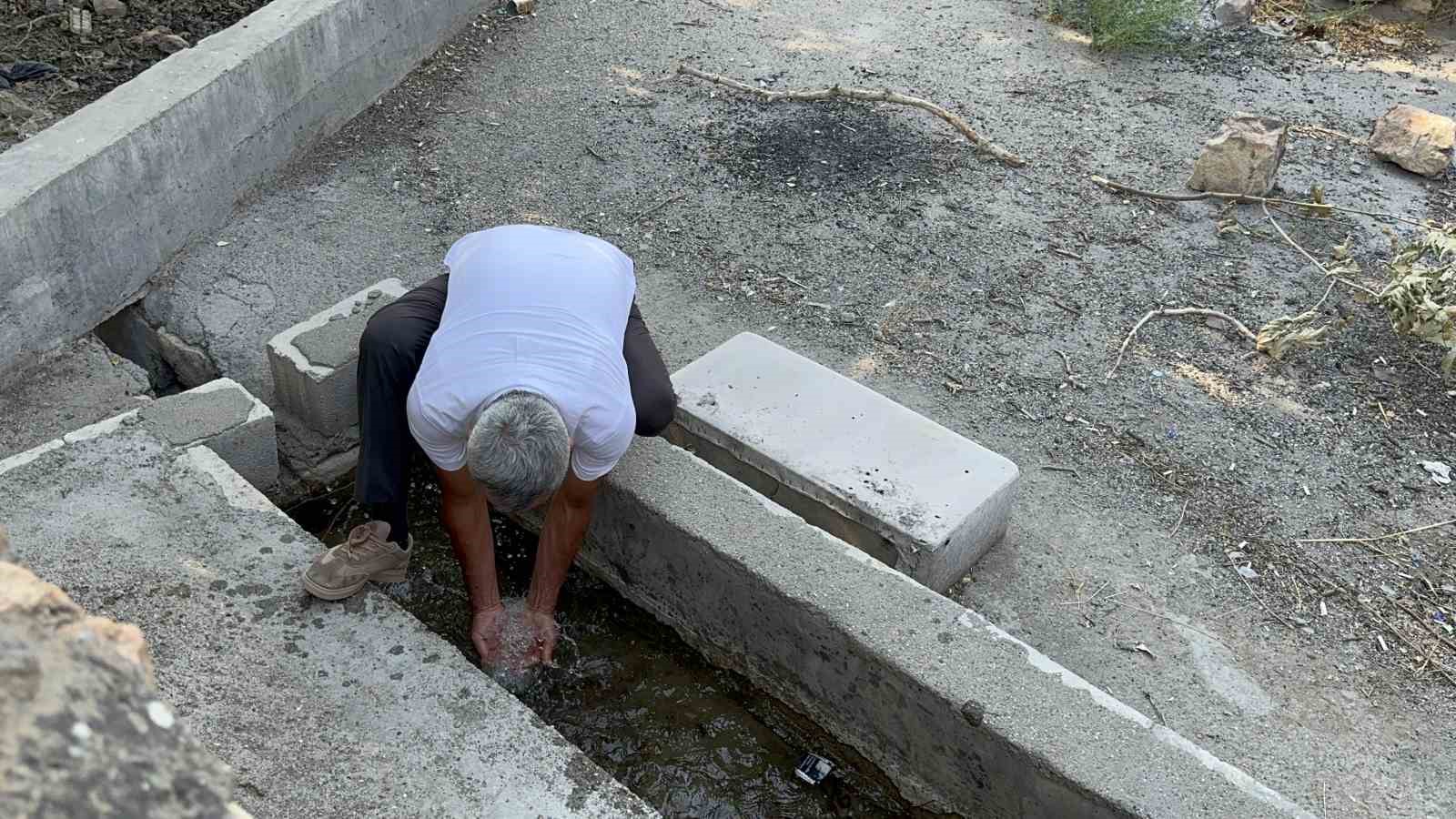 Mardin’de ağabey, 15 kardeşinin arazi hakkını sahte tapu işlemleri ile aldığı iddia edildi
