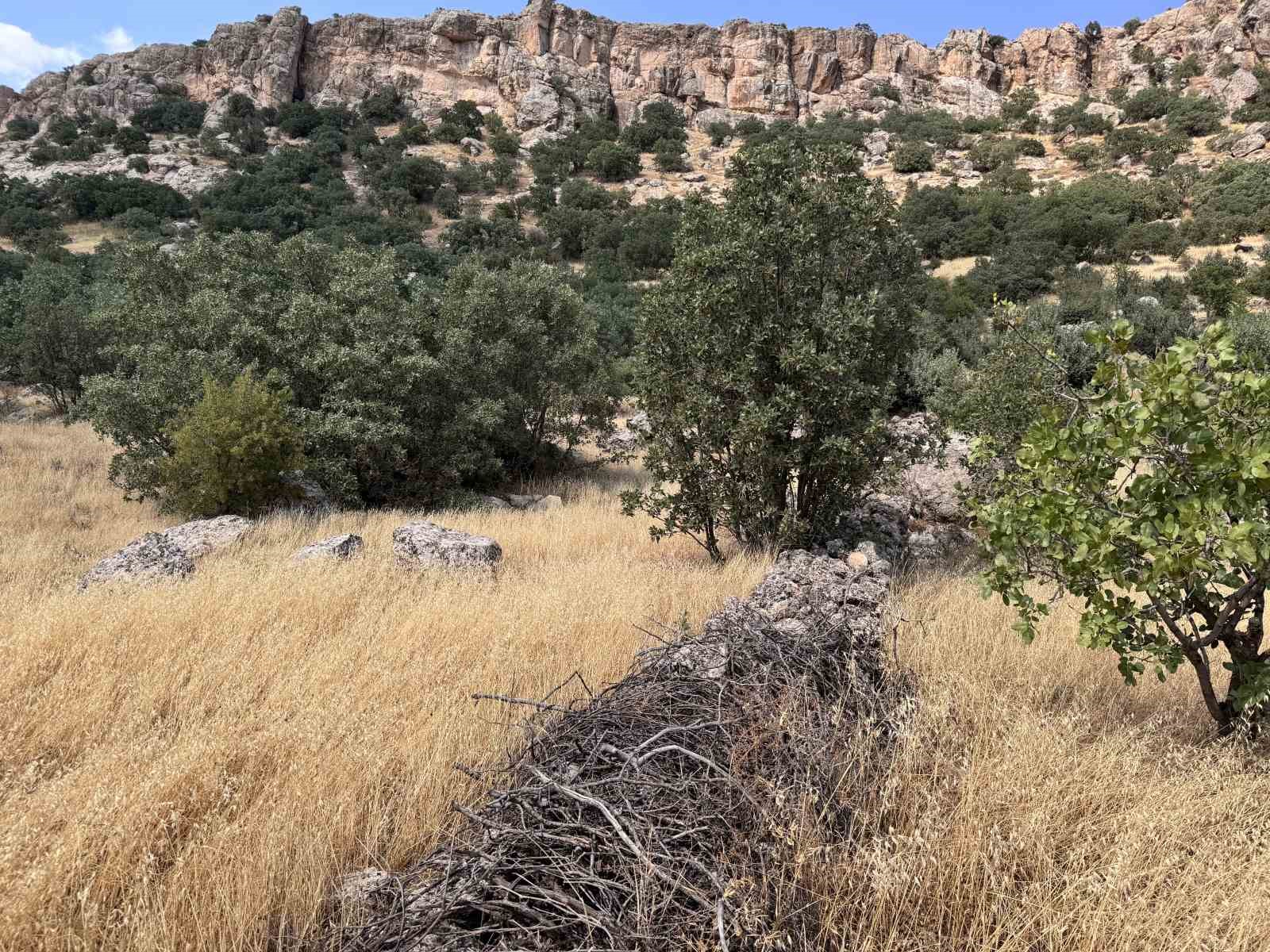 Mardin’de ağabey, 15 kardeşinin arazi hakkını sahte tapu işlemleri ile aldığı iddia edildi
