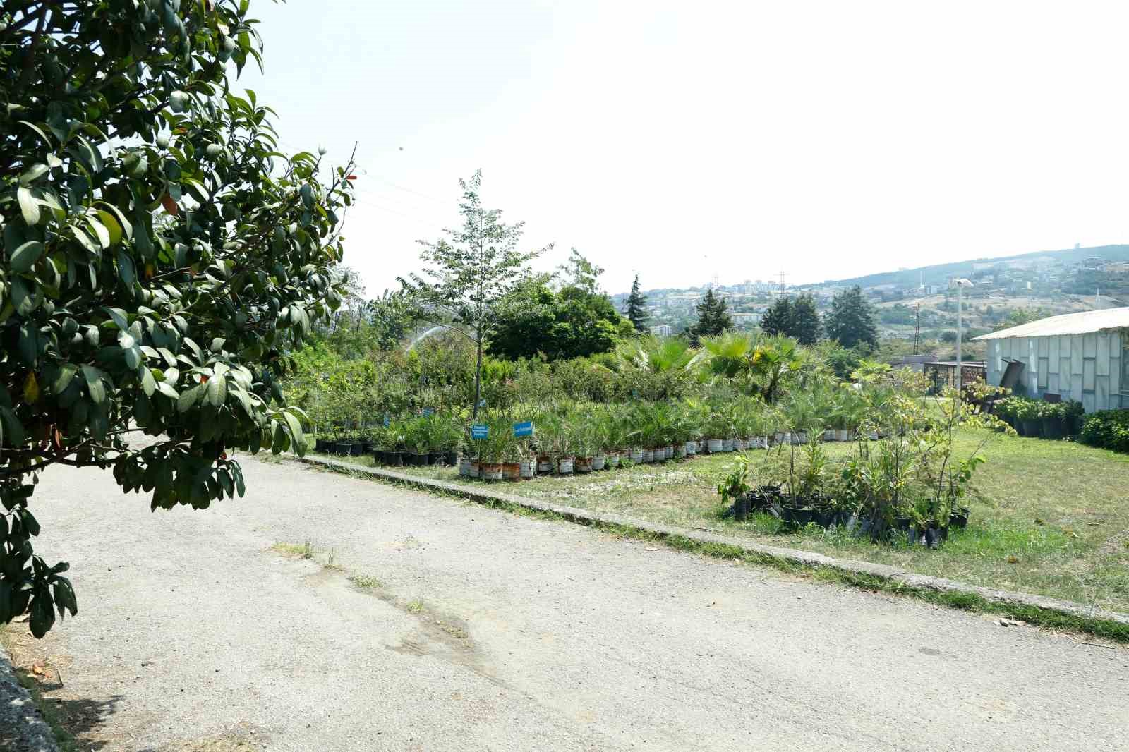 İlkadım’da ‘ata tohumu’ seferberliği
