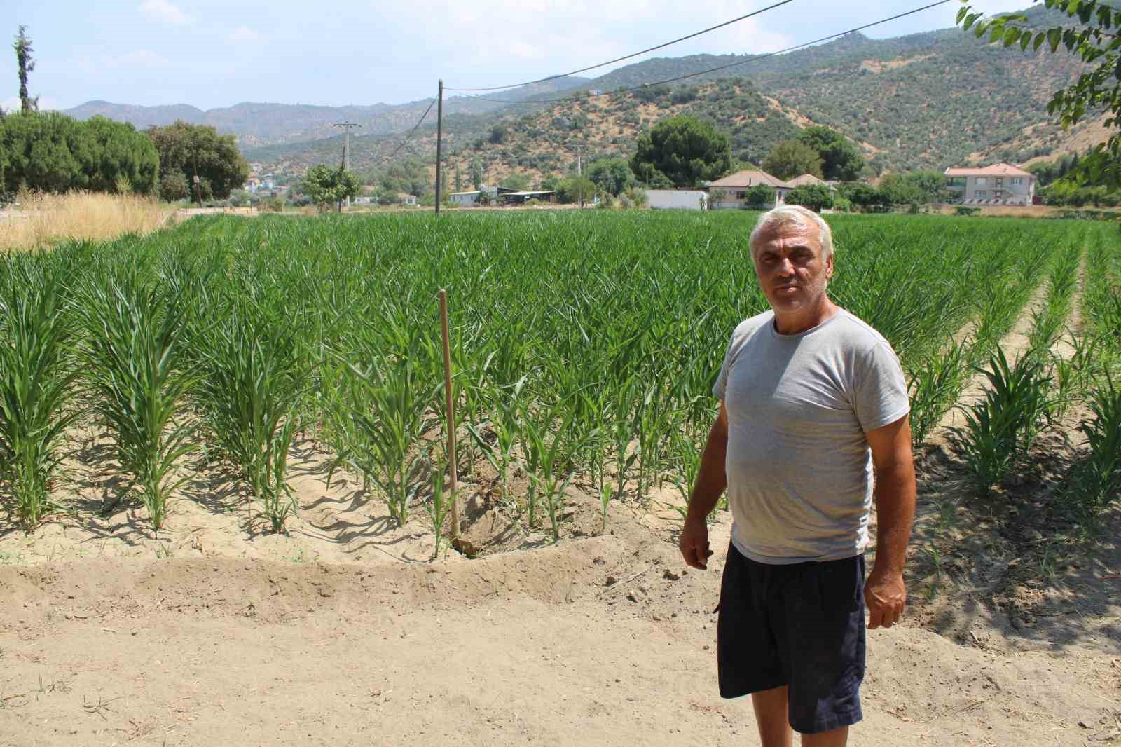 Fabrikanın atık suyu vatandaşı mağdur etti
