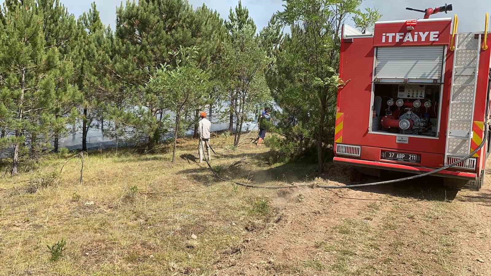 Kastamonu’daki orman yangınına müdahale sürüyor
