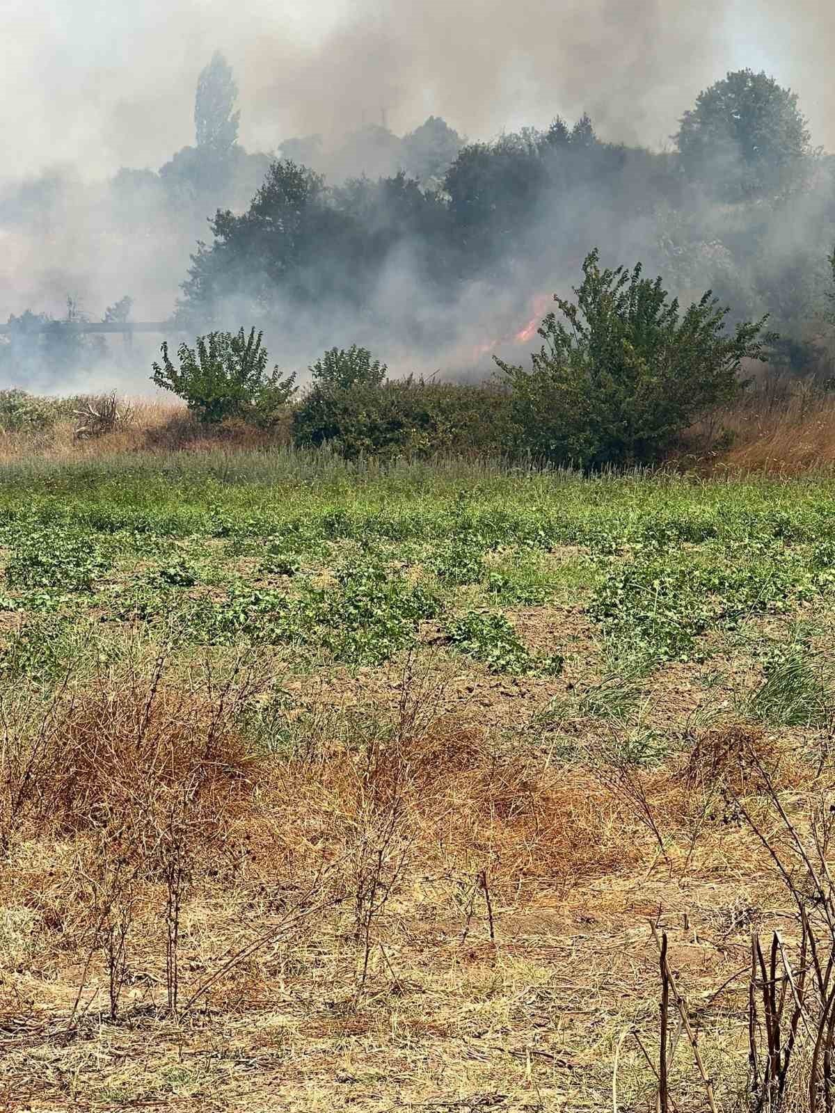 Bursa’da otluk alanda çıkan yangın büyümeden söndürüldü
