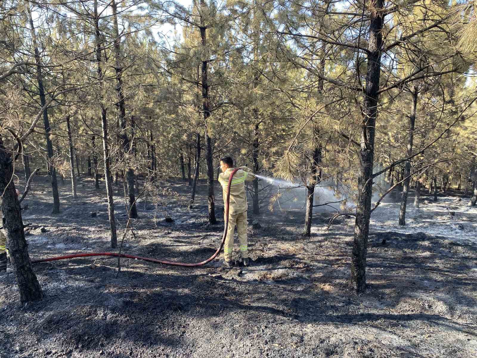 Kastamonu’daki orman yangını kontrol altına alındı
