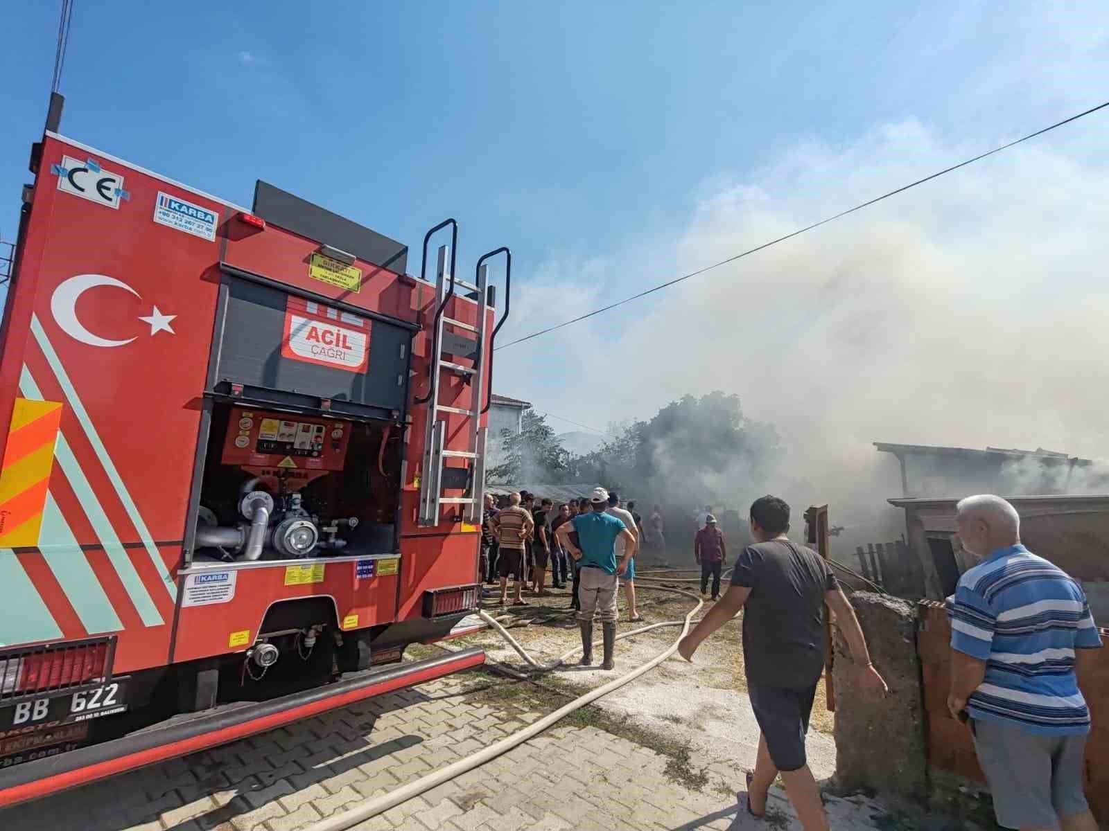 Manyas’ta ahırda çıkan yangında 3 büyükbaş hayvanda yanıklar oluştu
