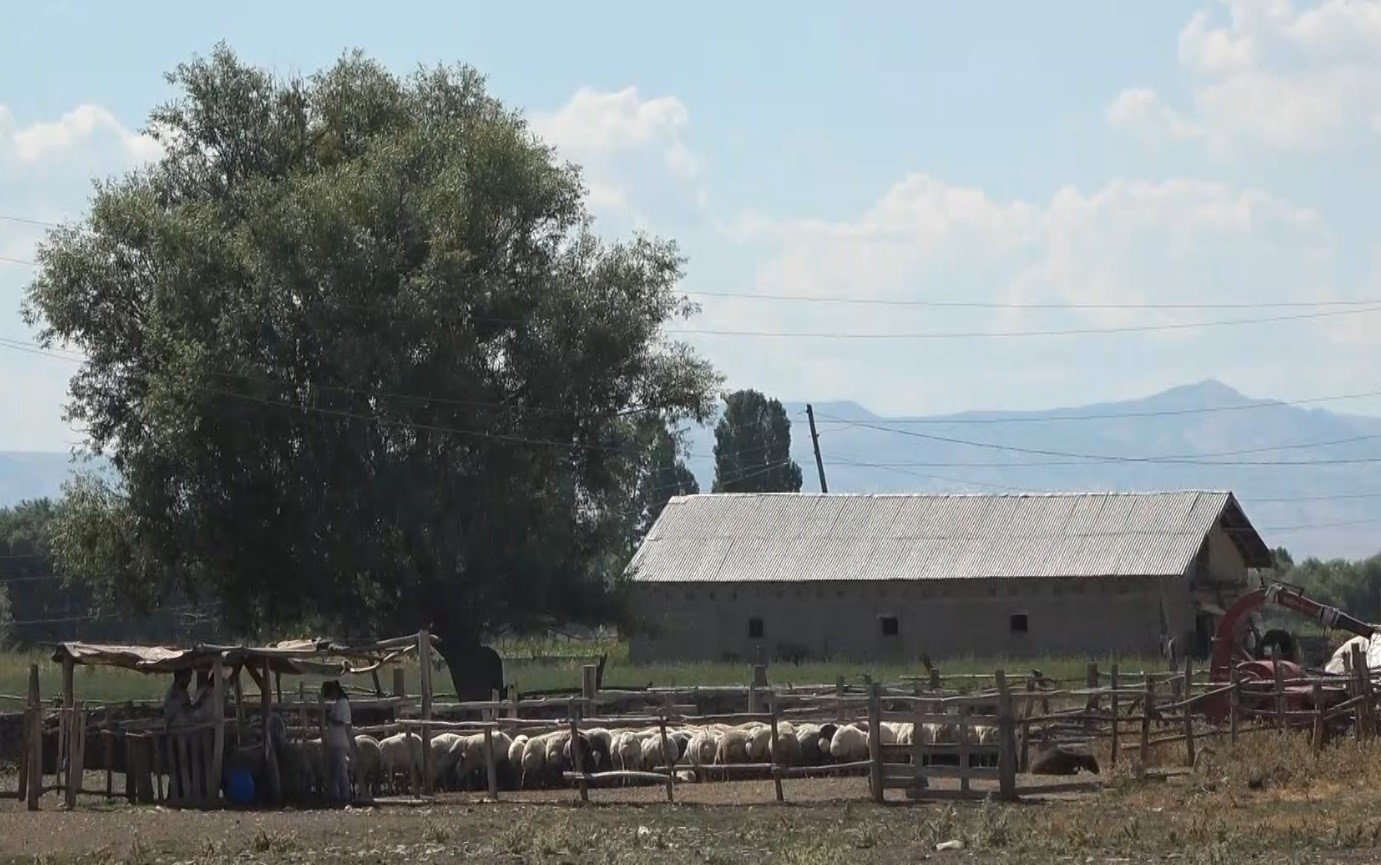 Muş’ta bir köy karantinaya alındı
